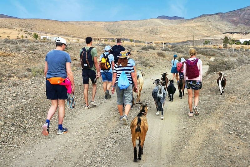 wandern Fuerteventura