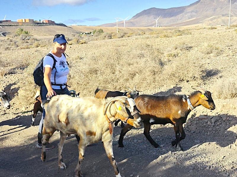 hiking route fuerteventura