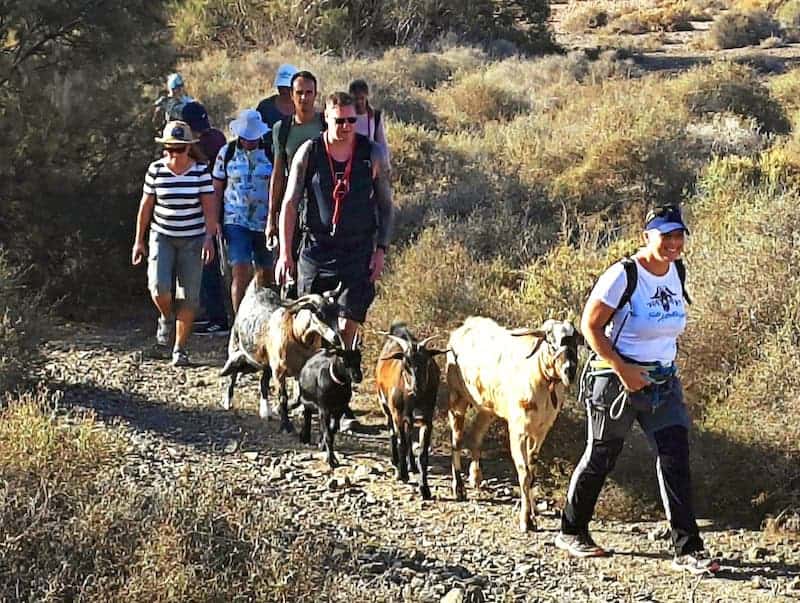 caminata fuerteventura