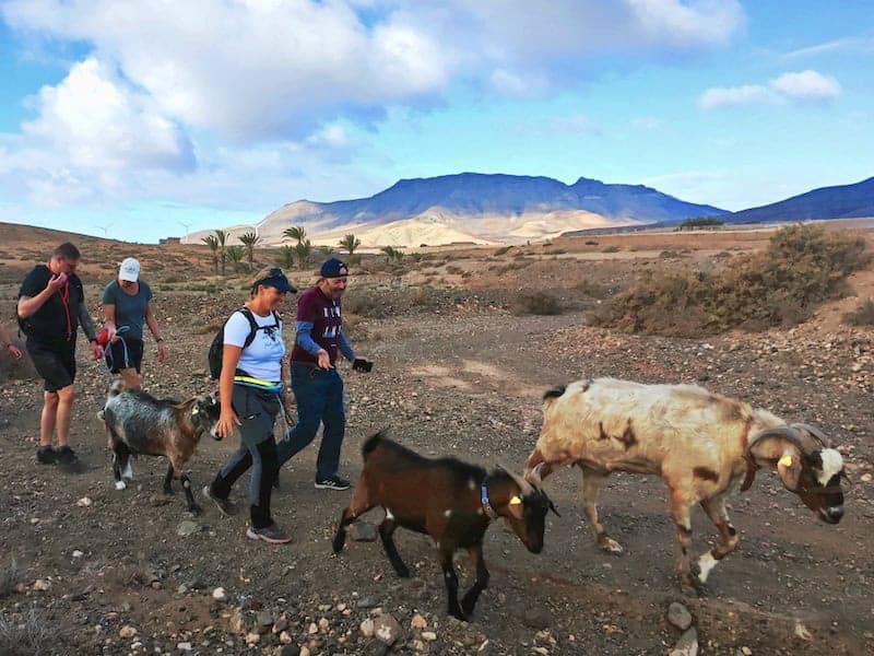 Fuerteventura hiking tour